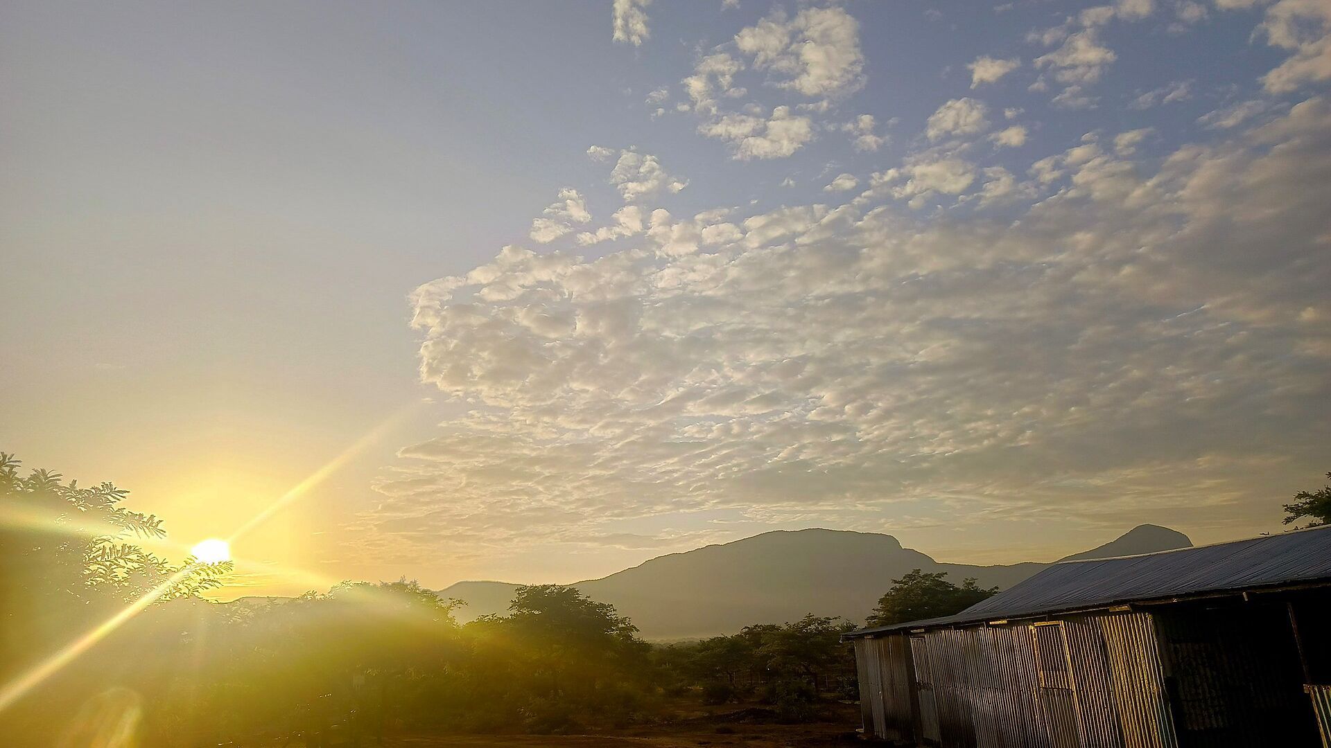 Pastoralist landscape of West Pokot County