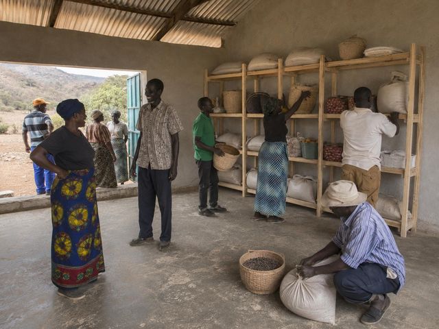 Sacks, baskets, and produce fill the zoned shelving of the Uwezo Project storage hall in Chepareria, West Pokot